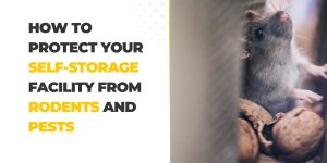 How to Protect Your Self-Storage Facility from Rodents and Pests