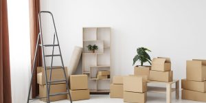 Things to Remember When Planning to Move